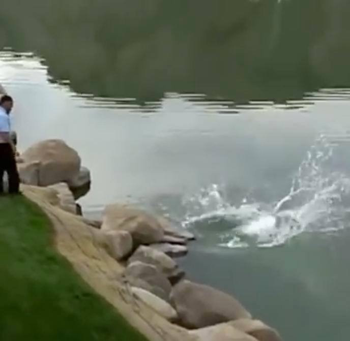 ਗੋਲਡਬਰਗ ਦਾ ਇਹ ਵੀਡੀਓ ਖੂਬ ਵਾਇਰਲ ਹੋ ਰਿਹਾ ਹੈ। 