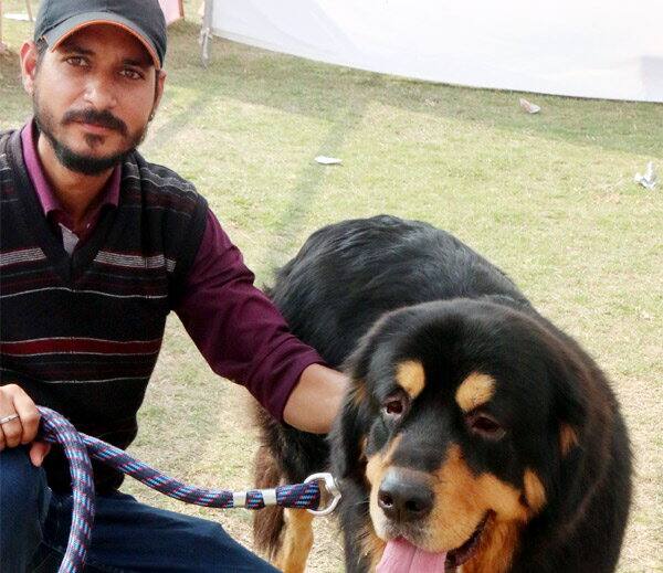 ਕੈਨਾਲ ਕਲੱਬ ਆਫ਼ ਭੋਪਾਲ ਵੱਲੋਂ ਐਤਵਾਰ ਨੂੰ ਨੈਸ਼ਨਲ ਲੈਵਲ ਚੈਂਪੀਅਨਸ਼ਿਪ ਡਾਗ ਸ਼ੋਅ ਦਾ ਪ੍ਰਬੰਧਕ ਕੀਤਾ ਗਿਆ।