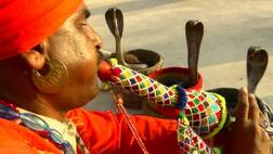 ਅਮਰੀਕਾ ਨੂੰ ਭਾਰਤੀ ਸਪੇਰਿਆ ਦੀ ਲੋੜ