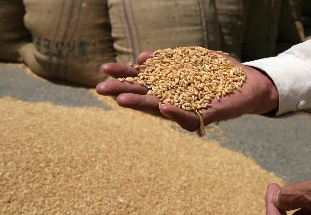 wheat procurement start in punjab ਪੰਜਾਬ ਸਰਕਾਰ ਵੱਲੋਂ ਕਿਸਾਨਾਂ ਨੂੰ ਰਾਹਤ, ਆਖਰ ਮੰਨ ਲਈ ਮੰਗ