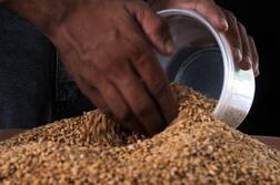 ਇੰਨਾ ਜ਼ਿਲ੍ਹਿਆਂ ਦੇ ਕਿਸਾਨਾਂ ਨੂੰ ਸਬਸਿਡੀ ਉੱਤੇ ਬੀਜ ਮਿਲਣਾ ਹੋ ਜਾਵੇਗਾ ਬੰਦ