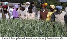 ਪੀਏਯੂ ਵੱਲੋਂ ਮਾਰਚ ਮਹੀਨੇ ਲਗਾਏ ਜਾਣ ਵਾਲੇ ਕਿਸਾਨ ਮੇਲਿਆਂ ਦੀਆਂ ਤਰੀਕਾਂ ਜਾਰੀ