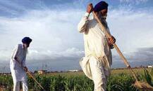 ਕਿਸਾਨਾਂ ਨੂੰ ਮਿਲਿਆ 26 ਕਰੋੜ ਦਾ ਕਰਜ਼ਾ ਕਿੱਥੇ ਲੱਗਾ?