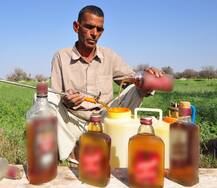 ਦਵਾਈਆਂ ਦੀ ਥਾਂ ਸ਼ਰਾਬ ਨਾਲ ਖੇਤੀ