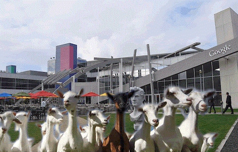 ਬੱਕਰੀਆਂ ਪਾਲਕ ਆਪਣੇ ਮੁਲਾਜ਼ਮਾਂ ਦੀ ਪਰੇਸ਼ਾਨੀ ਦੂਰ ਕਰ ਰਹੀ ਇਹ ਕੰਪਨੀ ਬੱਕਰੀਆਂ ਪਾਲਕ ਆਪਣੇ ਮੁਲਾਜ਼ਮਾਂ ਦੀ ਪਰੇਸ਼ਾਨੀ ਦੂਰ ਕਰ ਰਹੀ ਇਹ ਕੰਪਨੀ