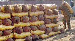 ਦੂਜੇ ਰਾਜਾਂ ਨੇ ਪੰਜਾਬ ਤੋਂ ਮੂੰਹ ਮੋੜਿਆ, ਕਿਸਾਨਾਂ 'ਤੇ ਪਈ ਵੱਡੀ ਮਾਰ