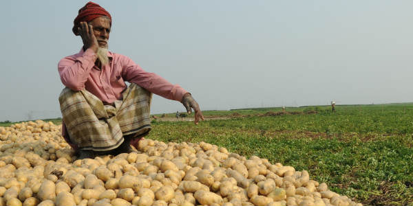 ਆਲੂਆਂ ਦੀਆਂ ਡਿੱਗੀਆਂ ਕੀਮਤਾਂ ਨੇ ਕਿਸਾਨਾਂ ਦੇ ਸਾਹ ਸੂਤੇ, \'ਆਪ\' ਨੇ ਚੁੱਕੀ ਆਵਾਜ਼