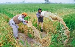 ਪੰਜਾਬ ਲਈ ਵੱਡੀ ਆਫਤ ਬਣੇਗੀ ਬਰਸਾਤ, ਗੜੇਮਾਰੀ ਤੇ ਹਨੇਰੀ ਦੀ ਚੇਤਾਵਨੀ