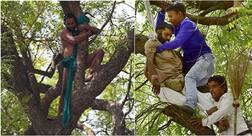 ਗਜੇਂਦਰ ਤੋਂ ਬਾਦ ਹੁਣ ਇੱਕ ਹੋਰ ਕਿਸਾਨ ਨੇ ਕੀਤੀ ਖੁਦਕੁਸ਼ੀ ਕੀ ਕੋਸ਼ਿਸ਼