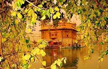 ਸ੍ਰੀ ਹਰਿਮੰਦਰ ਸਾਹਿਬ \'ਚ ਦੁਖ ਭੰਜਨੀ ਬੇਰੀ ਨੂੰ ਫਲ ਪਿਆ