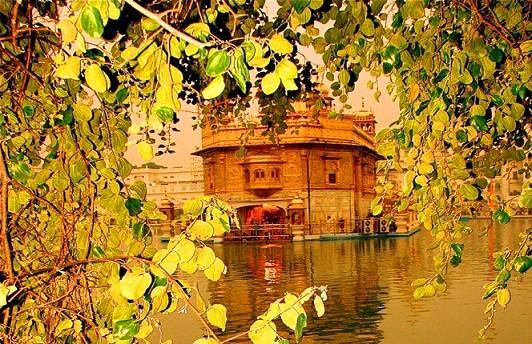 ਸ੍ਰੀ ਹਰਿਮੰਦਰ ਸਾਹਿਬ ਦੀ ਪਰਿਕਰਮਾ ਵਿੱਚ ਸਥਾਪਤ ਪੁਰਾਤਨ ਤੇ ਇਤਿਹਾਸਕ ਬੇਰੀਆਂ ਦੁਖ ਭੰਜਨੀ ਬੇਰੀ, ਬੇਰ ਬਾਬਾ ਬੁੱਢਾ ਸਾਹਿਬ ਅਤੇ ਲਾਚੀ ਬੇਰ ਦੀ ਮਾਹਿਰਾਂ ਵੱਲੋਂ ਪਿਛਲੇ ਕਈ ਸਾਲਾਂ ਤੋਂ ਕੀਤੀ ਜਾ ਰਹੀ ਸਾਂਭ ਸੰਭਾਲ ਦੇ ਸਿੱਟੇ ਵਜੋਂ ਇਸ ਸਾਲ ਇਨ੍ਹਾਂ ਬੇਰੀਆਂ ਨੂੰ ਭਰਵਾਂ ਫ਼ਲ ਲੱਗਾ ਹੈ। 