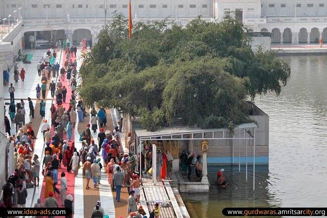 ਸ੍ਰੀ ਹਰਿਮੰਦਰ ਸਾਹਿਬ ਦੇ ਮੈਨੇਜਰ ਸੁਲੱਖਣ ਸਿੰਘ ਨੇ ਦੱਸਿਆ ਕਿ ਦੁਖ ਭੰਜਨੀ ਬੇਰੀ, ਬੇਰ ਬਾਬਾ ਬੁੱਢਾ ਸਾਹਿਬ ਅਤੇ ਲਾਚੀ ਬੇਰ ਤਿੰਨਾਂ ਬੇਰੀਆਂ ਨੂੰ ਚੰਗਾ ਫ਼ਲ ਪਿਆ ਹੈ। ਇਸ ਫ਼ਲ ਨੂੰ ਬੇਰੀਆਂ ਤੋਂ ਤੋੜਨ ਦੀ ਮਨਾਹੀ ਹੈ, ਪਰ ਜੋ ਬੇਰ ਹੇਠਾਂ ਡਿੱਗ ਪੈਂਦੇ ਹਨ, ਉਸ ਨੂੰ ਸ਼ਰਧਾਲੂ ਪ੍ਰਸਾਦਿ ਵਜੋਂ ਸਵੀਕਾਰ ਕਰਦੇ ਹਨ। 