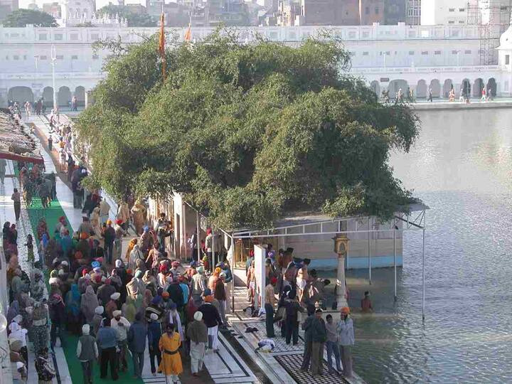 ਉਨ੍ਹਾਂ ਕਿਹਾ ਕਿ ਪੁਰਾਤਨ ਬੇਰੀਆਂ ਦੀ ਸਾਂਭ ਸੰਭਾਲ ਦਾ ਕੰਮ ਪਹਿਲਾਂ ਵਾਂਗ ਜਾਰੀ ਰਹੇਗਾ। ਖੇਤੀ ਯੂਨੀਵਰਸਿਟੀ ਦੇ ਮਾਹਿਰ ਰਹੇ ਨਰਿੰਦਰਪਾਲ ਸਿੰਘ ਨੇ ਕਿਹਾ ਕਿ ਪੁਰਾਤਨ ਬੇਰੀਆਂ ਨੂੰ ਫ਼ਲ ਲਗਣਾ ਸਾਬਤ ਕਰਦਾ ਹੈ ਕਿ ਇਹ ਦਰੱਖ਼ਤ ਹੁਣ ਸਿਹਤਯਾਬ ਹਨ ਤੇ ਇਨ੍ਹਾਂ ਨੂੰ ਇਸੇ ਤਰ੍ਹਾਂ ਕਾਇਮ ਰੱਖਣ ਲਈ ਮਾਹਿਰਾਂ ਦੀ ਨਿਗਰਾਨੀ ਦਾ ਕੰਮ ਜਾਰੀ ਰਹੇਗਾ।