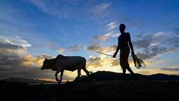 ਹਰਜਿੰਦਰ ਨੂੰ ਵੀ ਕਰਜ਼ੇ ਨੇ ਡੱਸਿਆ