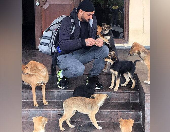  ਹਰਭਜਨ ਸਿੰਘ ਨੂੰ ਜਾਨਵਰਾਂ ਨਾਲ ਵੀ ਬਹੁਤ ਪਿਆਰ ਹੈ।