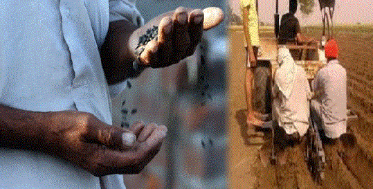 ਬੀਜਾਂ ਦੇ ਬਲੈਕ ਤੋਂ ਦੁਖੀ ਕਿਸਾਨਾਂ ਨੇ ਲਿਖੀ ਕੈਪਟਨ ਨੂੰ ਚਿੱਠੀ