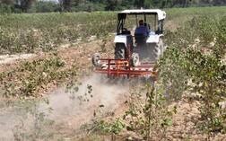 ਖੇਤੀ ਕਰਜੇ ਦੇ ਮੁਲਾਂਕਣ ਲਈ ਸਰਕਾਰ ਨੇ ਬਣਾਈ ਕਮੇਟੀ