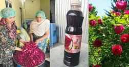 ਗਰਮੀ 'ਚ ਪਾਰਲੀਮੈਂਟ ਨੂੰ ਠੰਢਕ ਦੇਵੇਗਾ ਪਿੰਡ ਮਾਹਿਲਪੁਰ ਦੇ ਗੁਲਾਬ ਦਾ ਸ਼ਰਬੱਤ