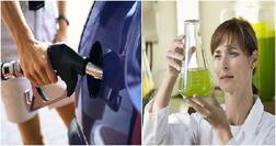 ਨਵੀਂ ਖੋਜ: ਘਾਹ ਨਾਲ ਚੱਲਣਗੀਆਂ ਗੱਡੀਆਂ ਤੇ ਉੱਡਣਗੇ ਜਹਾਜ਼