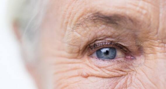 ਵੱਡੀ ਉਮਰ ਦੀਆਂ ਬਿਮਾਰੀਆਂ ਤੋਂ ਬਚਾਏਗਾ ਇਹ ਵਿਗਿਆਨਕ ਤਰੀਕਾ