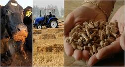 ਪਰਾਲੀ ਤੋਂ ਖੱਲ ਬਣਾਉਣ ਦੀ ਤਕਨੀਕ ਲੱਭ ਲਈ