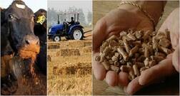 ਹੁਣ ਪਰਾਲੀ ਤੋਂ ਬਣੇਗੀ ਪੋਸਟਿਕ ਖਲ੍ਹ, ਪਸ਼ੂਆਂ ਦਾ ਵਧੇਗਾ ਦੁੱਧ