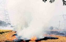 110 ਏਕੜ ਖੜ੍ਹੀ ਕਣਕ ਦੀ ਫਸਲ ਨੂੰ  ਲੱਗੀ ਅੱਗ