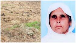 ਕਰਜ਼ੇ ਤੋਂ ਪਰੇਸ਼ਾਨ ਕਿਸਾਨ ਬੀਬੀ ਵੱਲੋਂ ਫਾਹਾ ਲੈ ਕੇ ਕੀਤੀ ਖੁਦਕੁਸ਼ੀ