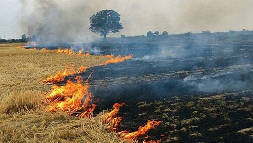 ਕਣਕ ਦੇ ਨਾੜ ਨੂੰ ਅੱਗ, ਕਿਸਾਨ ਖਿਲਾਫ ਪਰਚਾ ਦਰਜ