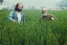 ਇਸ ਬਾਬੇ ਨੇ ਸੋਕੇ ਵਿੱਚ ਵੀ ਝੋਨਾ ਲਾਉਣ ਦਾ ਲੱਭ ਲਿਆ ਤਰੀਕਾ,,ਝਾੜ ਜਾਣਕੇ ਹੋ ਜਾਵੋਗੇ ਹੈਰਾਨ