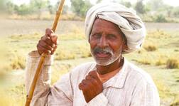 ਖੇਤੀ ਕਰਜ਼ਾ ਮੁਆਫੀ ਤੋਂ ਆਰਥਿਕ ਮਾਹਰ ਪਰੇਸ਼ਾਨ