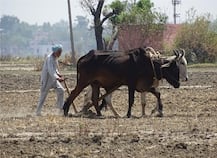 ਘਰ ਬੈਠੇ ਦੇਖੋ ਜ਼ਮੀਨ ਦੀ ਜ਼ਮਾਂਬੰਦੀ, ਇਹ ਹੈ ਤਰੀਕਾ