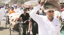 ਇਹ ਨੇ ਛੇਤੀ ਪੱਕਣ ਵਾਲੀਆਂ ਝੋਨੇ ਦੀਆਂ ਕਿਸਮਾਂ