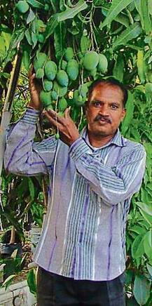 ਕਿਸਾਨ ਦੀ ਕਾਢ: ਪੂਰਾ ਸਾਲ ਫਲ ਦੇਣ ਵਾਲੀ ਫਸਲ ਵਿਕਸਤ!