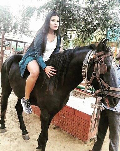  ਸ਼ਿਖਾ ਜੈਪੁਰ ਦੇ ਇੱਕ ਡਾਕਟਰ ਨੂੰ ਬਲੈਕਮੈਲ ਕਰਕੇ 1 ਕਰੋੜ 5 ਲੱਖ ਰੁਪਏ ਝਟਕ ਚੁੱਕੀ ਸੀ। ਮਹਿਜ 21 ਸਾਲ ਦੀ ਸ਼ਿਖਾ ਇੱਕ ਬਹੁਤ ਵੱਡੇ ਬਲੈਕਮੇਲਿੰਗ ਰੈਕਟ ਦਾ ਹਿੱਸਾ ਸੀ। ਇਹ ਬਕਾਇਦਾ ਇੱਕ ਗੈਂਗ ਸੀ ਜਿਸ ਦੀਆਂ ਪੰਜ ਲੜਕੀਆਂ ਹੁਣ ਤੱਕ ਗ੍ਰਿਫਤਾਰ ਹੋ ਚੁੱਕੀਆਂ ਹਨ। ਇਸ ਵਿੱਚ ਕੁੱਲ 33 ਲੋਕਾਂ ਨੂੰ ਹੁਣ ਤੱਕ ਗ੍ਰਿਫਤਾਰੀ ਹੋਈ ਹੈ। ਐਸਓਜੀ ਦੇ ਏਡੀਜੀ ਉਮੇਸ਼ ਮਿਸ਼ਰਾ ਨੇ ਦੱਸਿਆ ਕਿ ਹੁਣ ਤੱਕ 20 ਕਰੋੜ ਦੇ ਰੈਕਟ ਦਾ ਖੁਲਾਸਾ ਹੋਇਆ ਹੈ। ਲੜਕੀ ਨੂੰ ਮੁੰਬਈ ਦੇ ਇੱਕ ਪੱਬ ਤੋਂ ਗ੍ਰਿਫਤਾਰ ਕੀਤਾ ਗਿਆ। 
