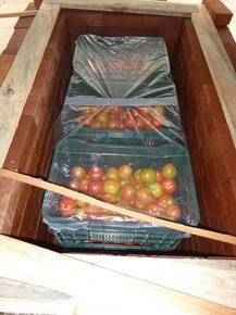 ਬਿਨਾ ਬਿਜਲੀ ਤੇ ਡੀਜ਼ਲ ਤੋਂ ਫਲ ਤੇ ਸਬਜ਼ੀਆਂ ਰੱਖੋ ਲੰਬੇ ਸਮੇਂ ਤੱਕ ਤਰੋ-ਤਾਜ਼ਾ