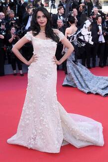 ਮੱਲਿਕਾ ਸ਼ੇਰਾਵਤ ਨੇ ਬਟੋਰੀਆਂ ਸਿਫਤਾਂ