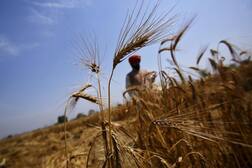 ਕਰਜ਼ੇ ਕਾਰਨ ਦੋ ਨੋਜਵਾਨ ਕਿਸਾਨਾਂ ਨੇ ਕੀਤੀ ਖੁਦਕੁਸ਼ੀ