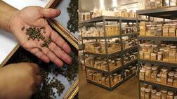 ਇਸ ਬੈਂਕ ਤੋਂ ਕਿਸਾਨਾਂ ਨੂੰ ਬੀਜ ਮੁਫ਼ਤ ਮਿਲਦੇ ਨੇ...