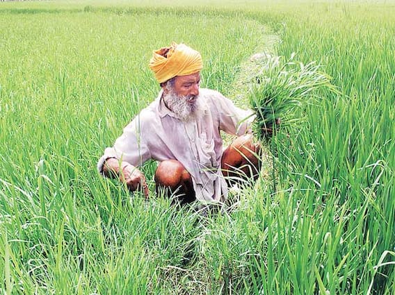 ਕਿਸਾਨ ਦੀ ਮਿਹਨਤ ਵੀ ਹੋਵੇ ਫਸਲ ਦੀ ਲਾਗਤ ਚ ਸ਼ਾਮਲ