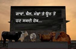 ਮੱਝਾਂ ਦੀ ਖਰੀਦੋ-ਫਰੋਖਤ ਬਾਰੇ ਨਿਯਮ ਬਦਲੇਗੀ ਮੋਦੀ ਸਰਕਾਰ!