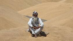 ਕੇਂਦਰ ਨਹੀਂ ਕਰੇਗਾ ਕਰਜ਼ੇ 'ਚ ਫਸੀ ਪੰਜਾਬ ਦੀ ਕਿਸਾਨੀ ਦੀ ਮਦਦ..