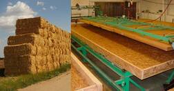 ਪਰਾਲੀ ਦੀ ਸਮੱਸਿਆ ਤੋਂ ਮਿਲੇਗਾ ਛੁਟਕਾਰਾ, ਕਿਸਾਨ ਕਰਨਗੇ ਚੋਖੀ ਕਮਾਈ