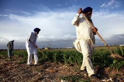 ਕਿਸਾਨਾਂ ਲਈ ਵੱਡੀ ਖੁਸ਼ਖਬਰੀ! ਸਰਕਾਰ ਦਾ ਅਹਿਮ ਫੈਸਲਾ