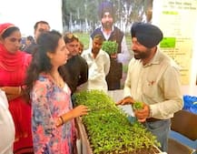 MA ਤੋਂ ਬਾਅਦ ਸ਼ੁਰੂ ਕੀਤੀ ਖੇਤੀ, ਹੁਣ ਇਟਲੀ ਤੱਕ ਨੇ ਧੂਮਾਂ 