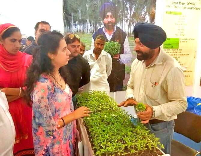 ਕਰੂਕੇਸ਼ਤਰ ਦੇ ਸ਼ਾਹਬਾਦ ਕਸਬੇ ਦੇ ਕਿਸਾਨ ਹਰਬੀਰ ਸਿੰਘ ਨੇ ਮਾਸਟਰ ਡਿਗਰੀ ਕਰਨ ਤੋਂ ਬਾਅਦ ਨੌਕਰੀ ਦੀ ਬਜਾਏ 2005 ਵਿੱਚ ਖੇਤੀ ਕਰਨੀ ਸ਼ੁਰੂ ਕਰ ਦਿੱਤੀ।