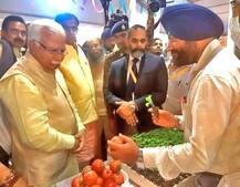 MA ਤੋਂ ਬਾਅਦ ਸ਼ੁਰੂ ਕੀਤੀ ਖੇਤੀ, ਹੁਣ ਇਟਲੀ ਤੱਕ ਨੇ ਧੂਮਾਂ 