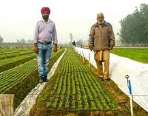 MA ਤੋਂ ਬਾਅਦ ਸ਼ੁਰੂ ਕੀਤੀ ਖੇਤੀ, ਹੁਣ ਇਟਲੀ ਤੱਕ ਨੇ ਧੂਮਾਂ 