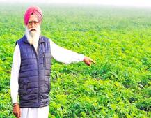 ਮਿਰਚਾਂ ਵਾਲਾ ਲੱਖਪਤੀ ਕਿਸਾਨ , ਜਾਣੂ ਕਾਮਯਾਬੀ ਦਾ ਰਾਜ਼