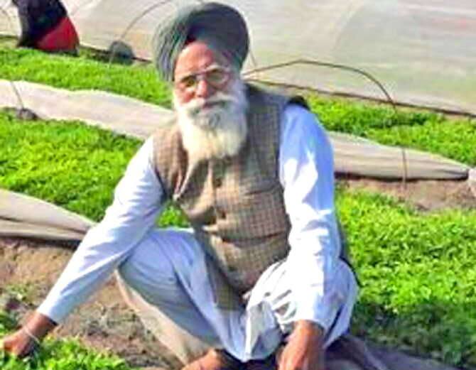 ਨੇਕ ਸਿੰਘ ਨੇ 10ਵੀਂ ਤੱਕ ਪੜਾਈ ਕੀਤੀ ਹੋਈ ਹੈ ਪਰ ਪੜਾਈ ਉਸ ਦੀ ਤਰੱਕੀ ਵਿੱਚ ਕਿਤੇ ਵੀ ਰੁਕਾਵਟ ਨਹੀਂ ਬਣੀ।